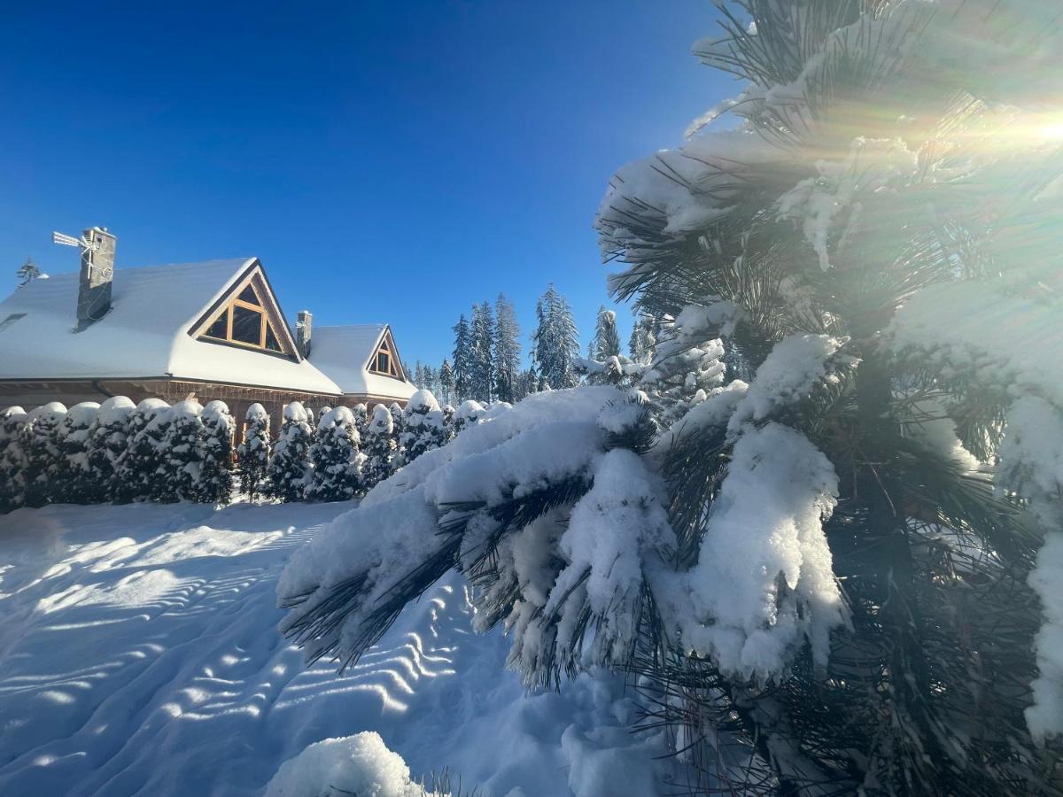 Osada Podrazowka Villa Zakopane Ngoại thất bức ảnh