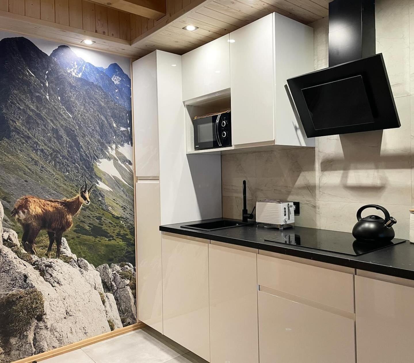 Osada Podrazowka Villa Zakopane Ngoại thất bức ảnh